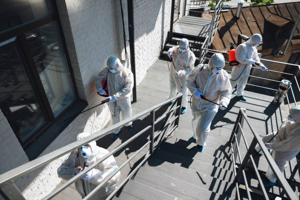 Best Mold Prevention Services  in Haskell, TX
