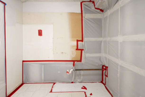 Best Black Mold Removal  in Haskell, TX