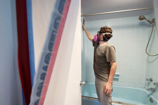 Best Mold Damage Restoration  in Haskell, TX